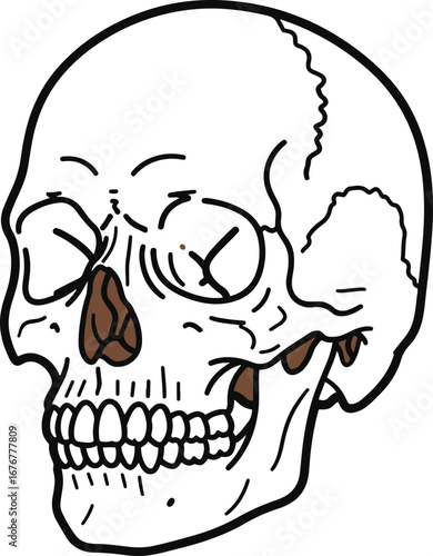 This illustration showcases a detailed pixel art rendering of a human skull, viewed from a three-quarter perspective.