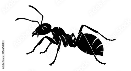 Silhouette of a black ant with detailed legs antennae and segmented body on a white background insect drawing