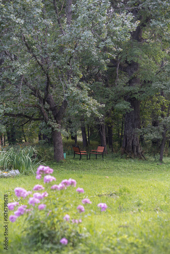 three hundred year old park with bench, green meadow, meadow, grass, flowers