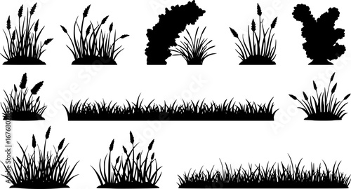 Green grass silhouette. Cartoon lines of plants and shrubs for boarding and framing, eco and organic logo element. Vector set spring field planting shapes lawn or borders garden on white background	