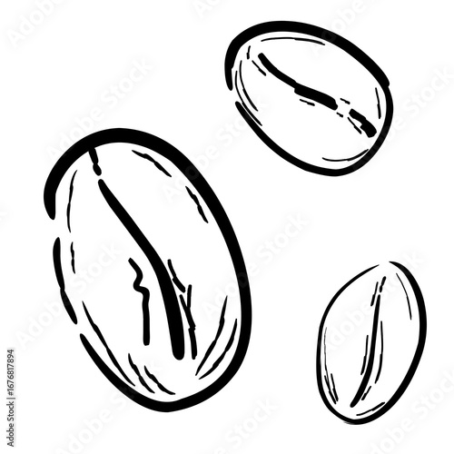hand-drawn coffee beans in black and white, ideal for café branding, packaging, textile prints, and coffee-themed designs.