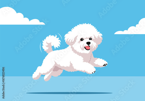 Joyful bichon frise dog leaping with happiness under a bright blue sky