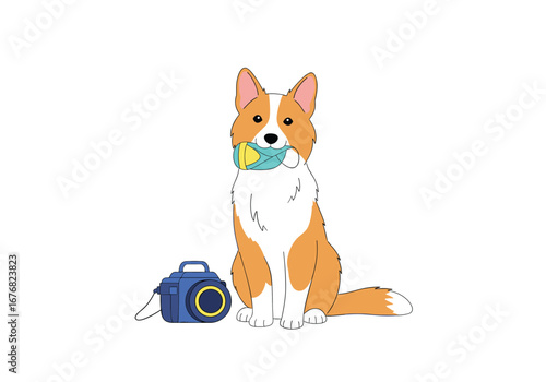 Cute corgi dog sitting holding a camera lens in its mouth beside a blue camera