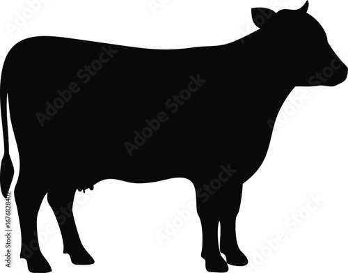 Majestic black silhouette of a standing dairy cow profile facing right isolated on white