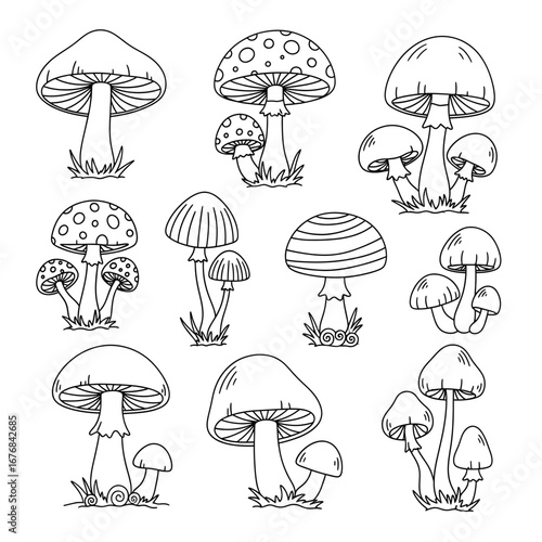 mushrooms vector illustration