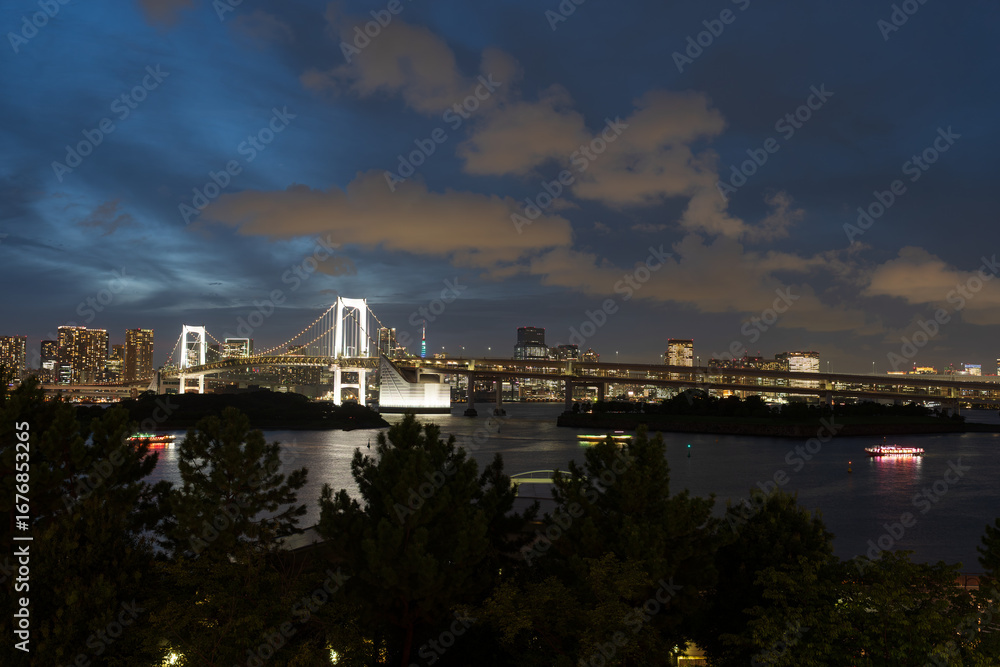 Obraz premium Rainbow Bridge and Tokyo Skyline at Night