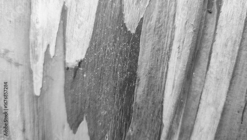 old wood texture
