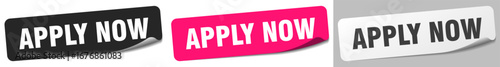 apply now sticker. apply now sticker set on white background