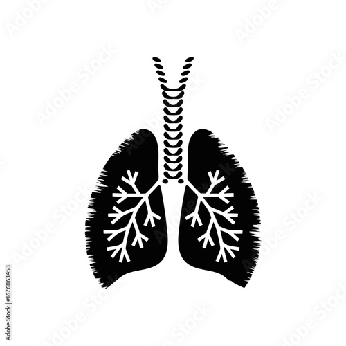 Trachea with bronchi illustration in black and white shows human airway system. Detailed trachea with bronchi reveals delicate network of tubes for respiration.