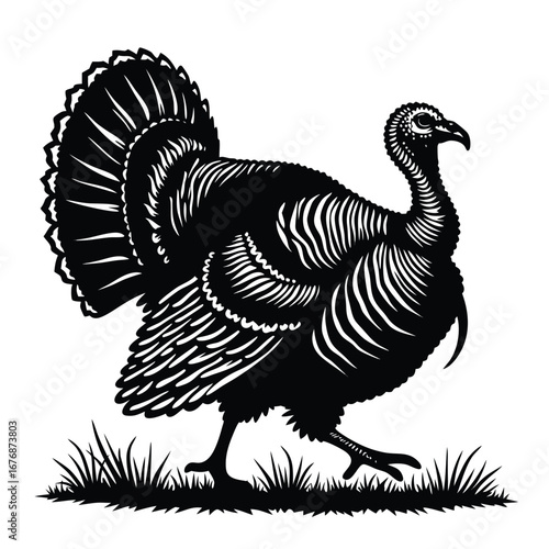 Black silhouette of a turkey walking in grass bird 1