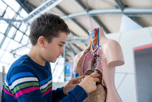 Принти на полотні Curious boy exploring human anatomy model in science museum