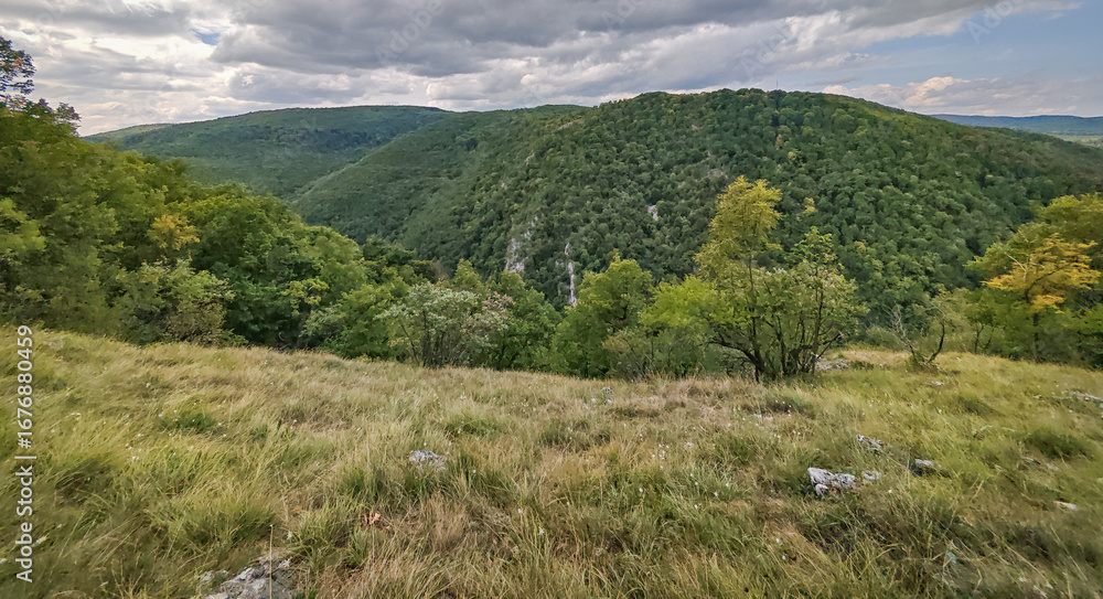Naklejka premium Panoramic view over the green Szinva Valley from the Fehérkő-lápa lookout point in the Bükk Mountains, Hungary.