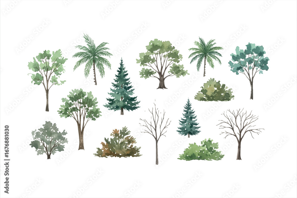Fototapeta premium Watercolor Trees Collection