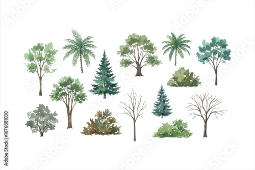 Watercolor Trees Collection