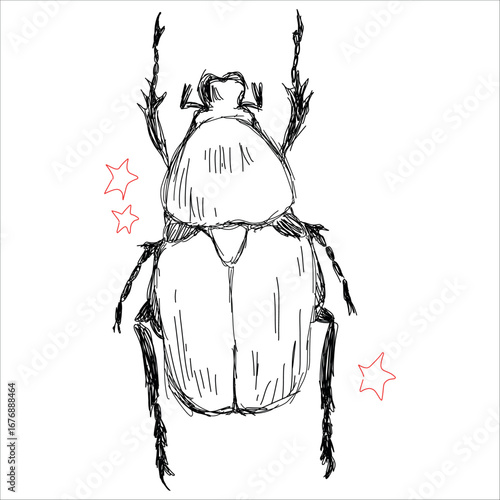 Sketch of a beetle. Cetonia. Rose chafer. Easy, simple sketch. Black Line art. Vector hand-drawn illustration. Tattoo design, print for sketchbooks, stickers, pins, cups.