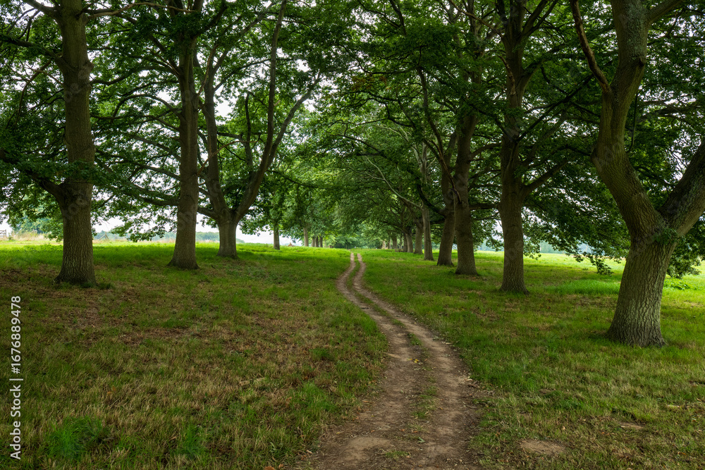 Obraz premium Park Leeds Castle