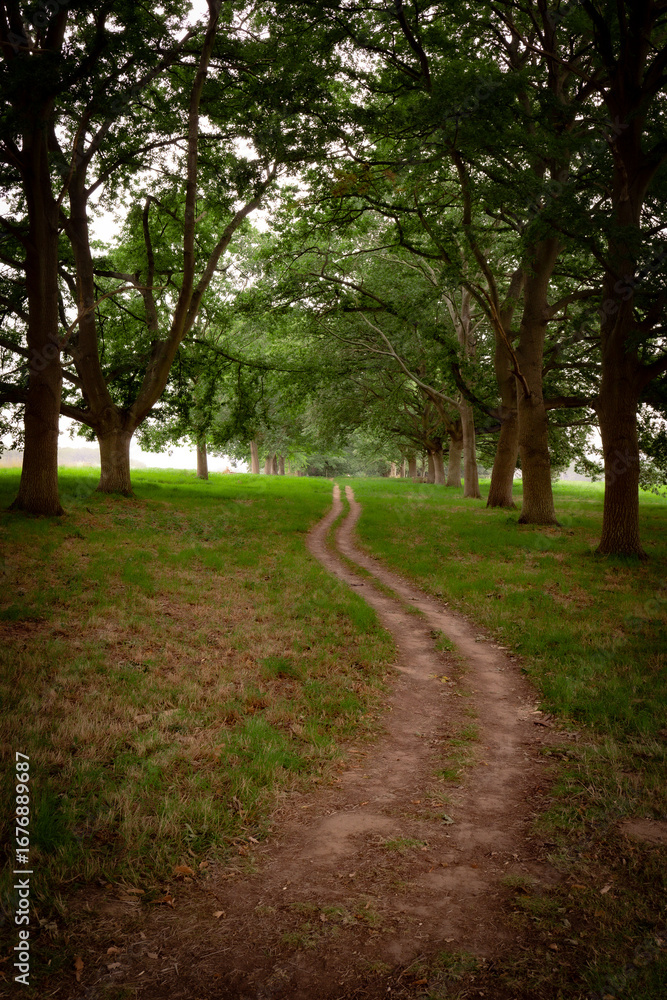 Fototapeta premium Park Leeds Castle