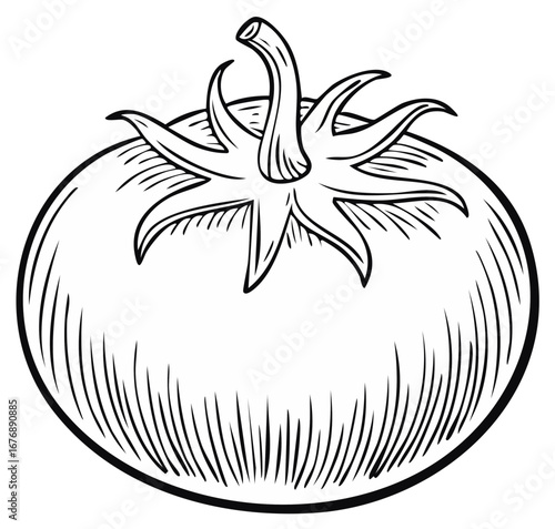 Classic Black and White Line Art Illustration of a Ripe Tomato