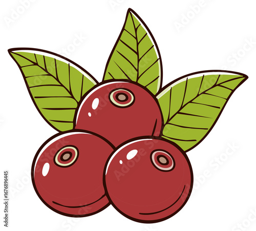 Cluster of ripe red cranberries with green leaves illustration