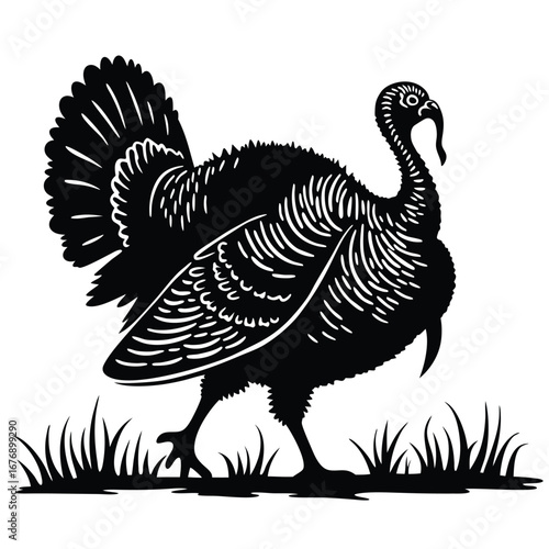 Black silhouette of a turkey standing in grass bird