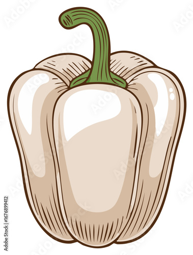 Charming hand-drawn illustration of a single white bell pepper with a vivid green stem in a simplistic style perfect for cooking guides.