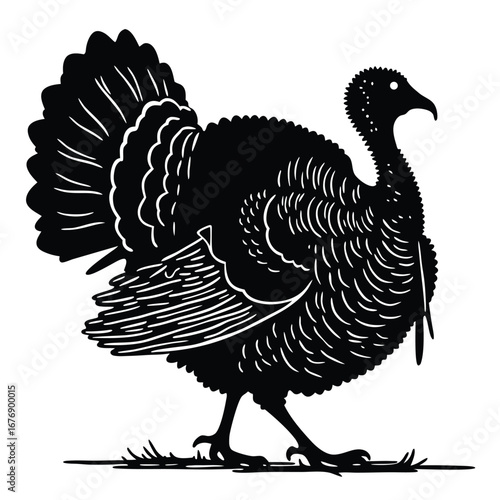 Black silhouette of a turkey with fanned tail feathers