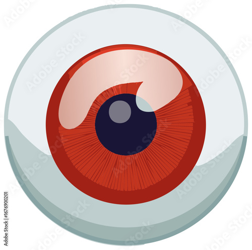 Red Human Eyeball Vector Illustration Graphic Depiction of Sclera Iris Pupil Cornea Detailed Realistic Eye Anatomy Medical Icon
