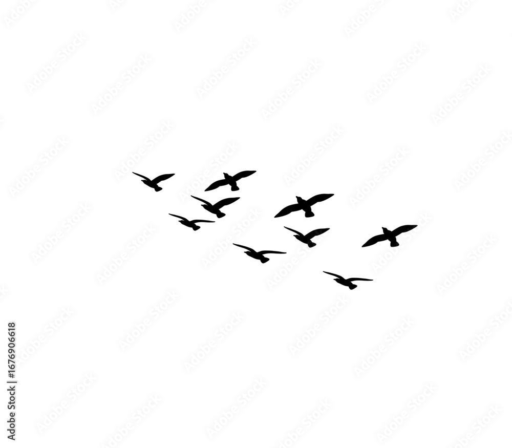 Fototapeta premium Vector flying birds silhouettes pack, symbol of freedom and elegance