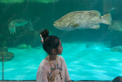 Girl Watching a Giant Grouper in Aquarium