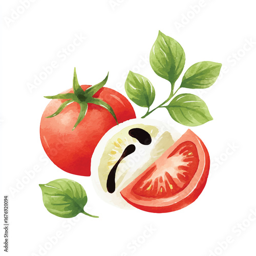 Watercolor depiction of a whole tomato sliced tomato and basil leaves