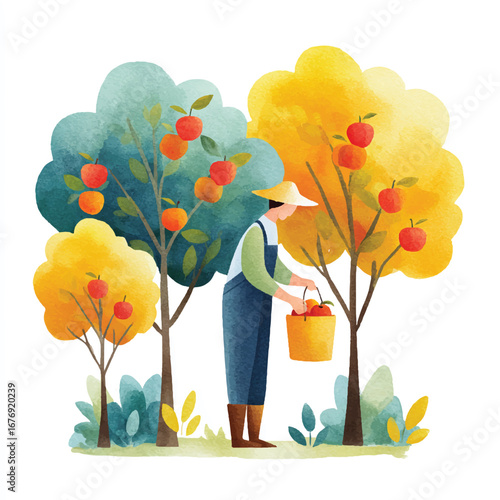 Watercolor farmer harvesting ripe red apples from trees with colorful foliage