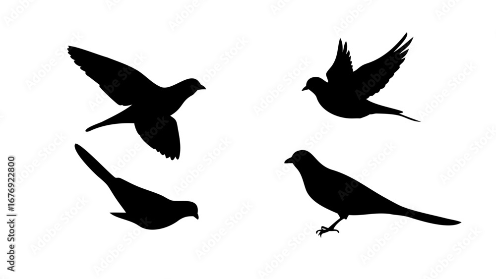 Fototapeta premium Birds in flight and perched flying silhouette