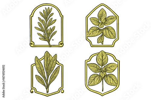 Vintage herb logo collection. Botanical line art illustrations of rosemary, basil, sage in elegant frames. Vector set for natural product labels, organic food packaging, or branding.