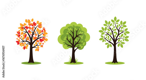 Illustration of three trees in different seasons showing vibrant autumn foliage and lush green summer leaves showcasing the beauty of nature and seasonal changes
