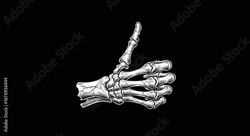 Anatomical skeleton hand thumbs up gesture illustration in white on a black background
