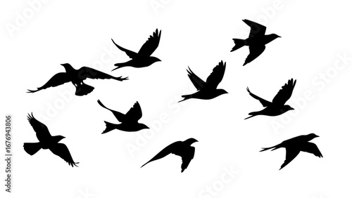 Collection of black bird silhouettes in different poses flying perched