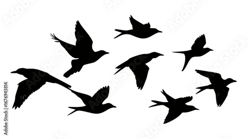 Collection of black bird silhouettes in flight birds flying