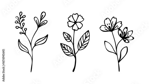 Delicate floral stems with simple line art flower plant