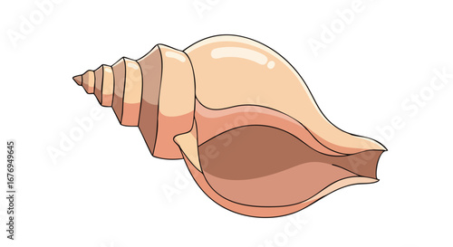 Detailed seashell vector illustration with beige and brown tones, perfect for coastal themes and nautical decorations illustrations with a serene