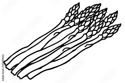 black and white asparagus bunch clip art preview