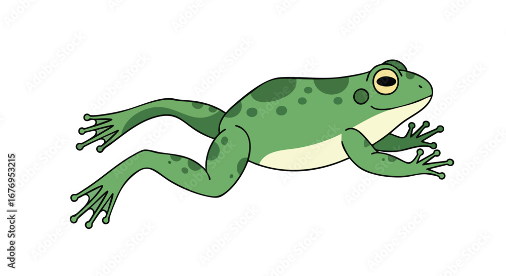 Fototapeta premium Animated green frog with dark spots illustration, isolated on white background, amphibian cartoon figure vector for graphic resources design