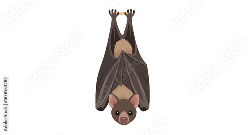 Cartoon bat illustration, portraying a hanging bat with a playful and slightly comical design for children's illustrations and Halloween themed