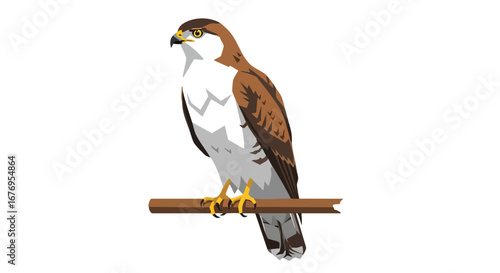 Stylized Illustration of a Majestic Hawk Perched on a Branch, Isolated on White Background. Created with Vector Graphics for Modern Design 77 Chars