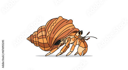 Whimsical hermit crab illustration on a pristine white background showcasing intricate shell patterns and cartoonish design elements ideal for