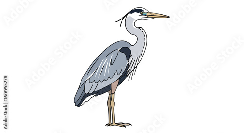 Elegant heron illustration showcasing calm posture and detailed plumage design in a vector format, perfect for nature enthusiasts