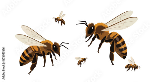 Detailed Vector Illustration: Dynamic Composition of Honeybees in Flight on Plain Background, showcasing Nature's Intricate Details