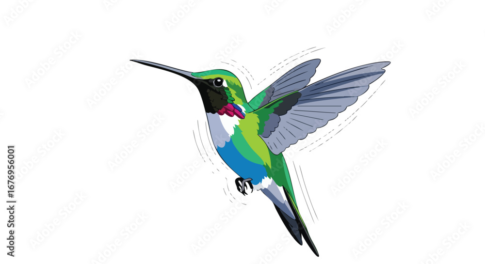 Fototapeta premium Colorful hummingbird illustration gracefully soars, showcasing dynamic wing movement against a clean white backdrop in animated style