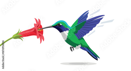 Vibrant vectorized illustration showcasing a hummingbird extracting nectar from a bright red flower with stylized wing motion effects