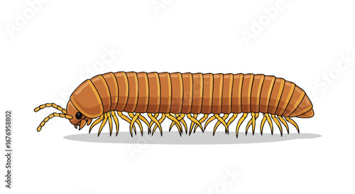 Cartoon millipede illustration showcasing detailed segmented body and multiple pairs of legs, isolated on a clean white background providing clarity