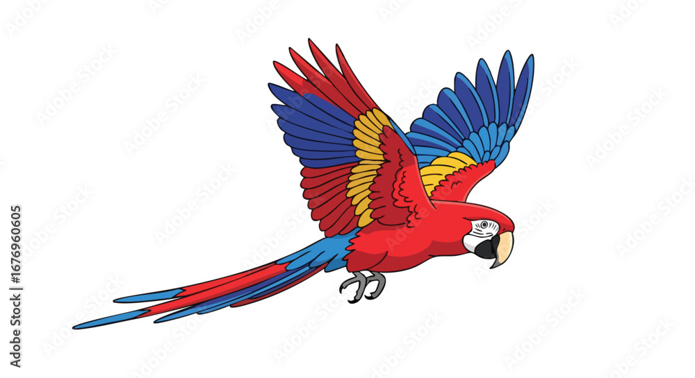 Obraz premium Vibrant macaw soars in the sky showing off its colorful feathers in a delightful flight motion artwork